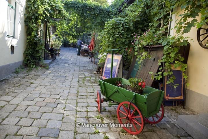 Marus Apartment Grinzing Viena Exterior foto